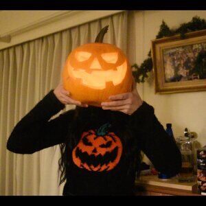 Dolls Kill Halloween Pumpkin cropped black fuzzy sweater (S-M)